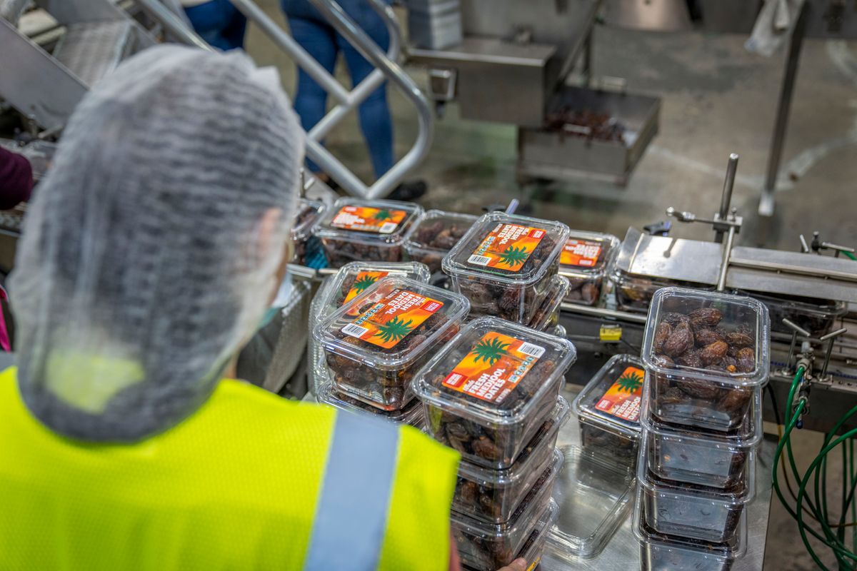 A worker in a hairnet and hi-vis vest checks stacks of packed trays at the end of a food packing line. Photo: Mark Stebnicki / Pexels.